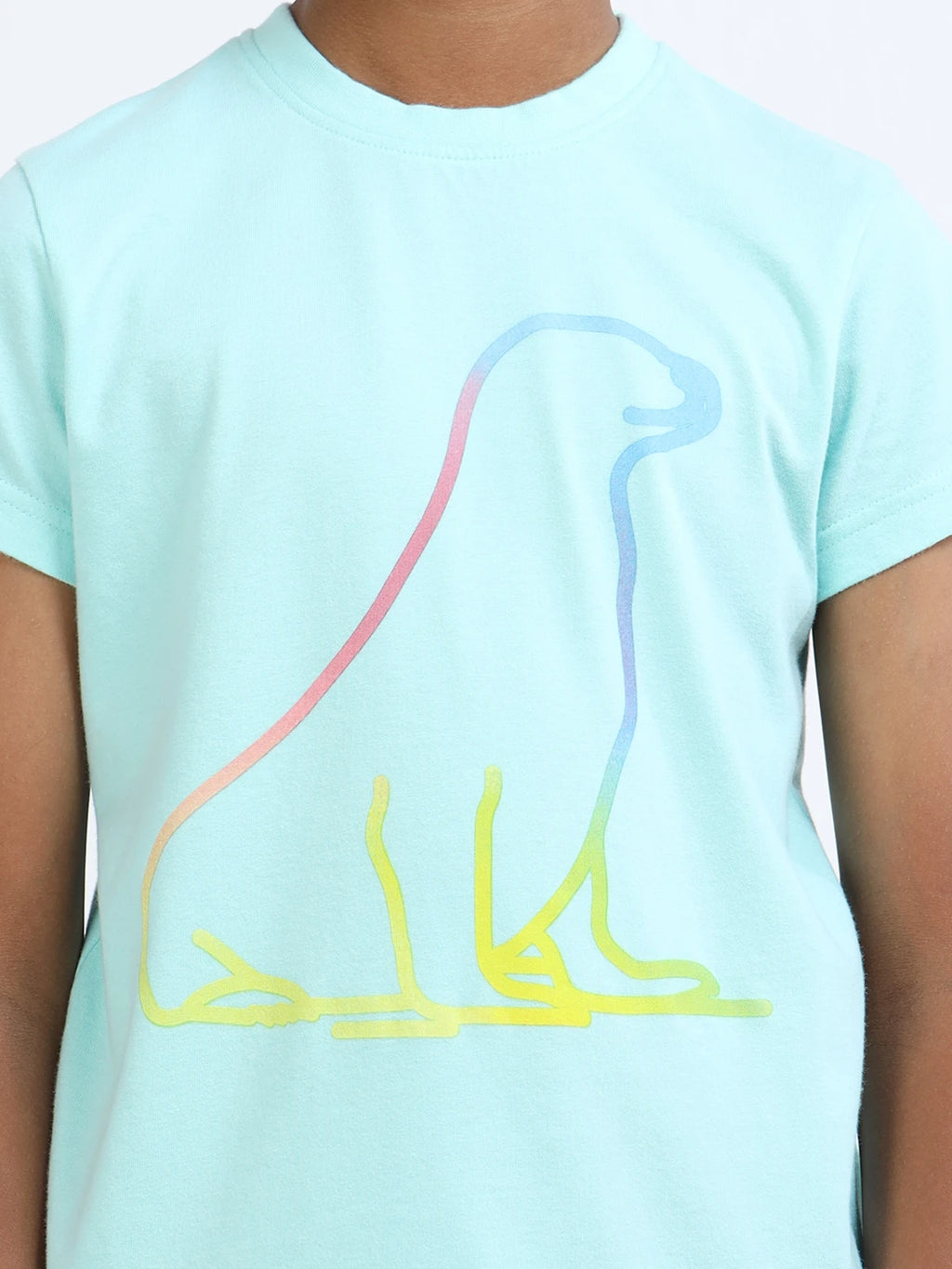 Mint 100% Cotton Crew Neck Boy's T Shirt