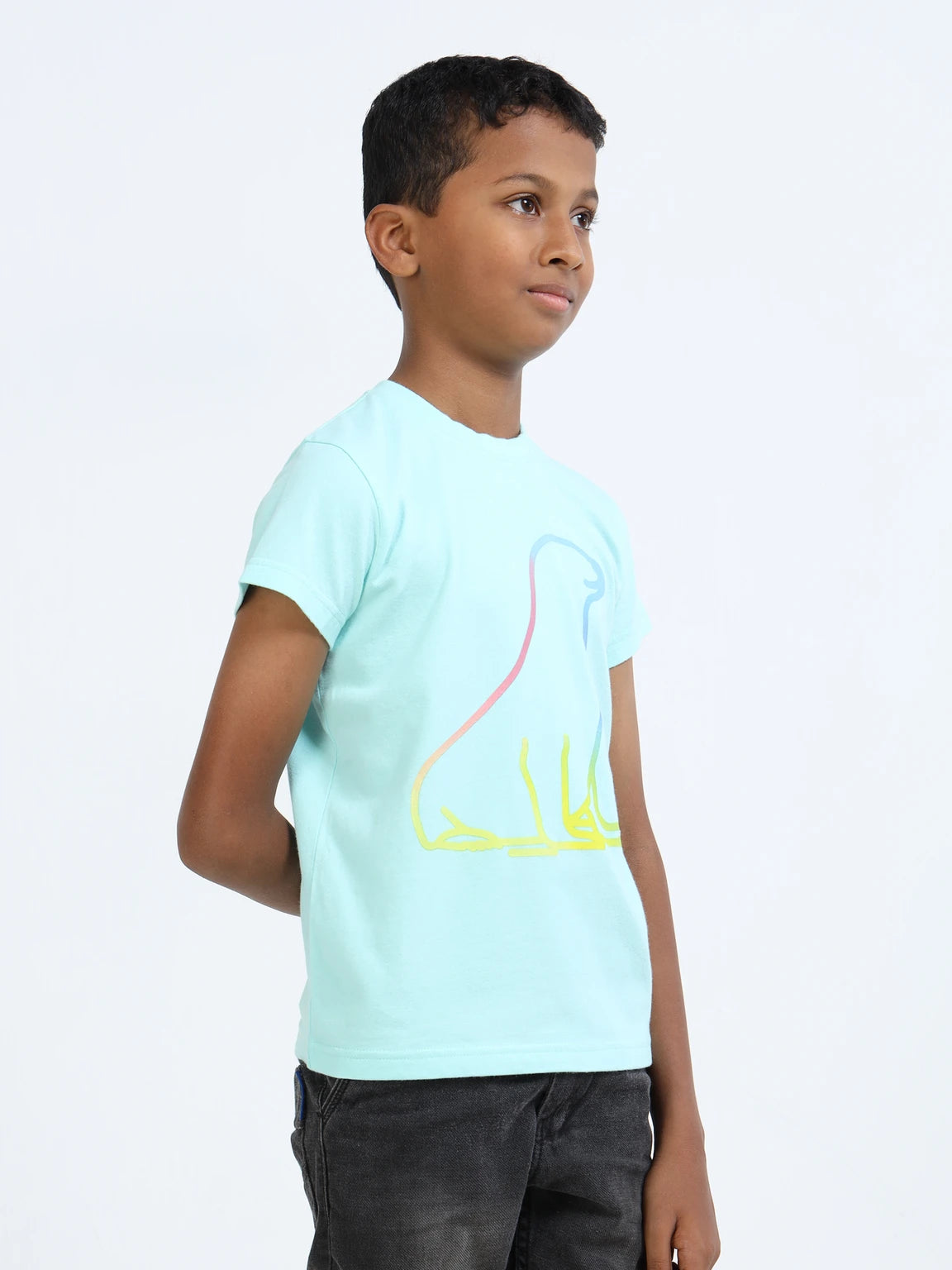 Mint 100% Cotton Crew Neck Boy's T Shirt